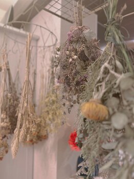 ミュリエ 所沢/