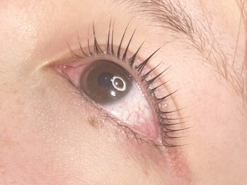 コボアイラッシュ(COVO.eyelash)/ラッシュリフト