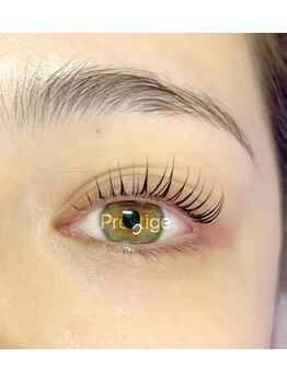 プレステージ 白金台(Prestige)/ブラックティント(オプション)