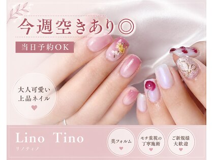リノティノ(Lino Tino)の写真
