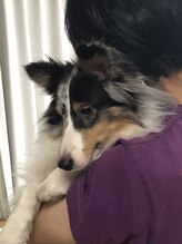 クリスタル ピュア アイビー(IVY)&nbsp;富永 由加里