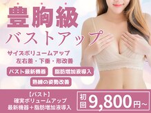 バーディー(BIRDIE)