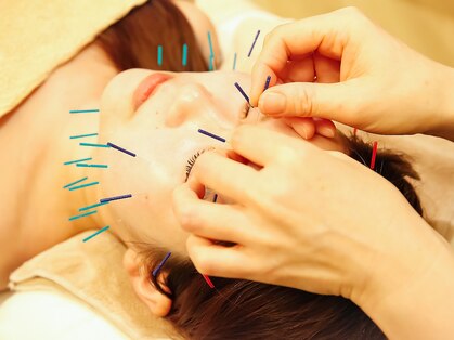 ハル(Halu)の写真