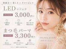 ステラ 平野 出戸
