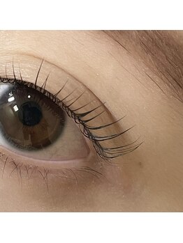 レガーミ バイ ムニ(Legami by MUNI)/立ち上げ