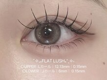 ビーナスベルト 池袋(VENUS BELT)/上下フラットラッシュ