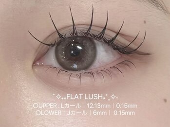 ビーナスベルト 池袋(VENUS BELT)/上下フラットラッシュ