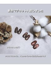 キャンアイドレッシー 深谷店(Can I Dressy)/マグネット新色入荷¥6,000