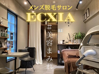 エクシア(ECXIA)の写真