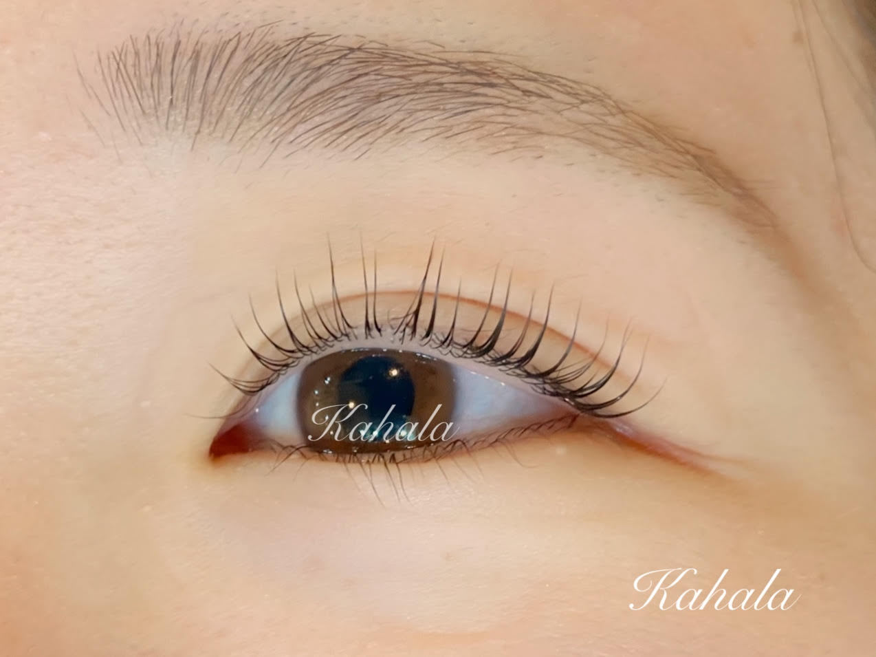 美容液成分配合★レアカール上まつげのみ 7700円