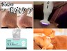 毛穴ケア【毛穴エクストラクション、プラズマ殺菌、超音波導入＋生パック】