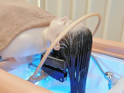 漢方頭療の写真