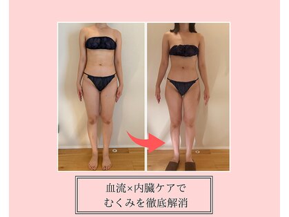 サクラ(SAKURA)の写真