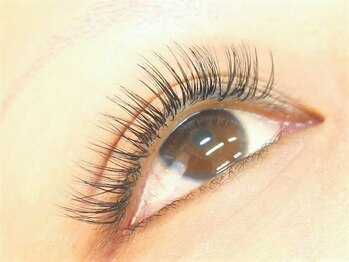 アイラッシュサロン アイリス(EYE LISS)の写真/自まつ毛に負担をかけずに目ヂカラUP!オトナ女性にもオススメの程よいボリューム感で魅力的なお目元に...