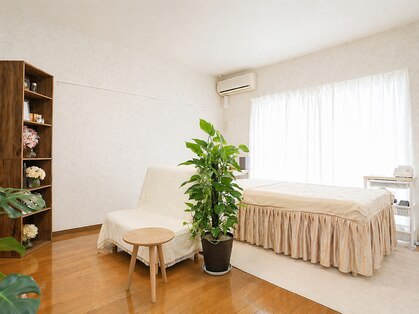 メレ(mele)の写真