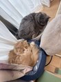 ルミエール 津田沼店(LUMIERE)&nbsp;２匹の猫がいます♪「あめ」と「ゆき」です！