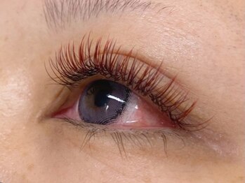 ウルカ アイラッシュ(uruka EYELASH)/フラットラッシュ 200本