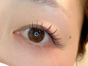 アイビー(Ivy)/フラットラッシュ