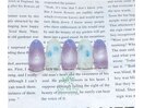 チューリップネイル☆