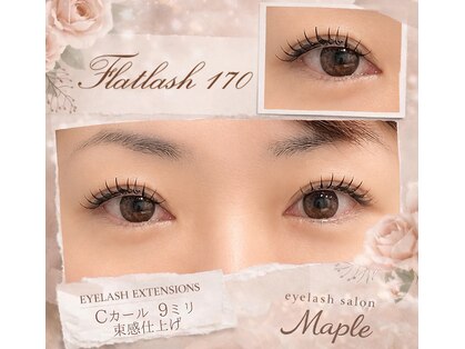 メープル(Maple)の写真
