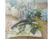 オアシス(OASIS)/７種類のかっさプレートが活躍