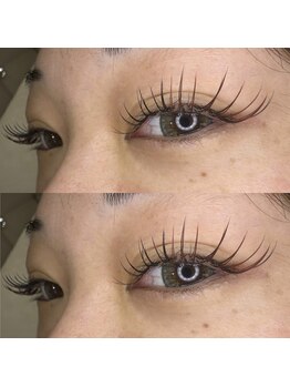 ビューティー アイラッシュ ベルウインク(Bellewink)/カラーエクステ