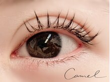 キャメル(camel)/【シングルラッシュ】120本