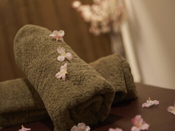サクラ(SAKURA)/■SAKURA