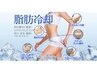 【速攻痩身　半額体験】キャビフル＋脂肪冷却(お腹/太もも/二の腕)　11000円