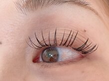 リボン(RIBBON)/フラットラッシュ130本