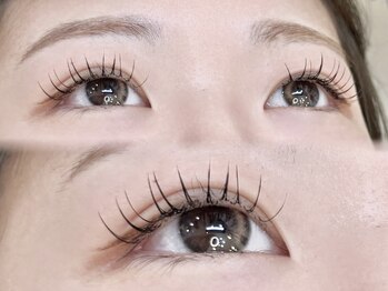 ライラ(LAiLA)/フラットラッシュ【80本】