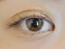 ディシェーレノーテ アイラッシュ(die Schere Note EyeLash)/セーブル60本