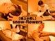 スノーフラワーズ(snow-flowers)の写真