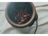【人気！】ハーブ蒸し30分＋リンパ60分¥11300→10300