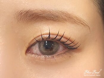 ブルーバード(BLUE BARD)の写真/【2週間以内の再来で断然お得◎】ボリューム重視の方/つけ放題で華やかなお目元にするなら是非、当サロンへ