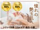 サルヴァトーレ 長崎の写真