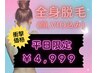 【平日限定！】レディース☆全身脱毛(顔,VIO込み)
