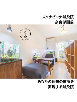 スクナビコナ鍼灸院/肩こり改善専門