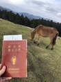シレナ(CIRENA)&nbsp;地元の野生のウマです午年に因んで何事もウマく行きますように