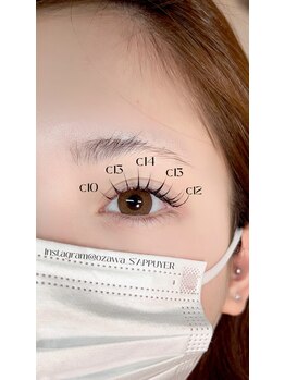 サピュイエ(S'APPUYER)/フラットラッシュ140本