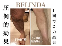 ベリンダ(BELINDA)