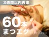 【3週間以内の再来】フラットラッシュ60本【￥6,600⇒￥4,950】