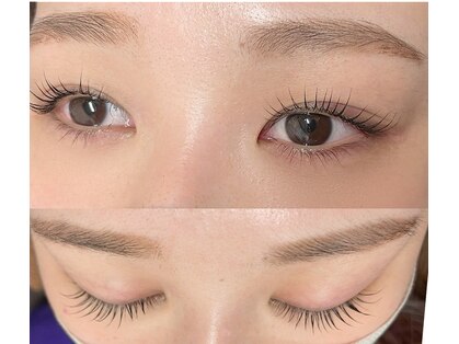 アグライア(Aglaia)の写真