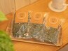 【お肌のケアもしたい方♪】漢方ビューティよもぎ蒸し40分 3500円