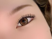 アンディ(ANDY)/フラットラッシュ120本