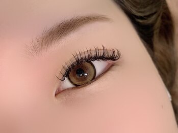 アンディ(ANDY)/フラットラッシュ120本