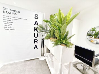 Drヘッドスパ サクラ(SAKURA)