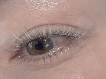 ブライト(Bright)/フラットラッシュ