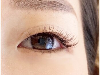 シマー(shimmer)/バインドロック60束