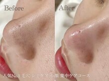 シャンディール(Shandeel)